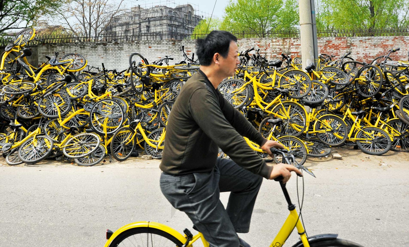 ofo bike