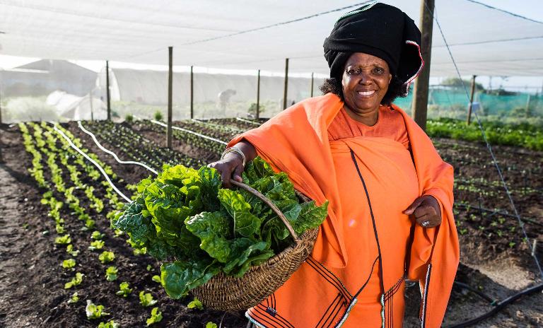Contrary to conventional wisdom, female entrepreneurs are the most numerous in Africa.